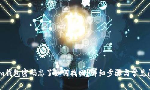 Token.im钱包密码忘了如何找回？详细步骤与常见问题解答