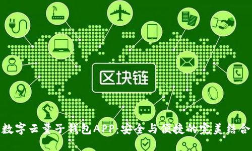数字云量子钱包APP：安全与便捷的完美结合