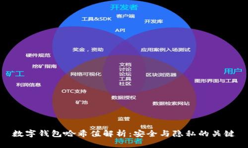 数字钱包哈希值解析：安全与隐私的关键