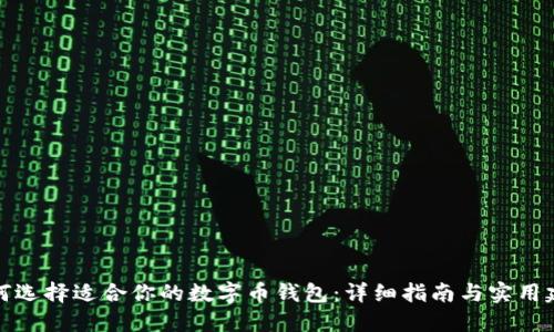 如何选择适合你的数字币钱包：详细指南与实用建议
