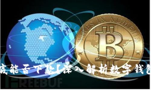 数字钱包到底能否下款？深入解析数字钱包的金融功能