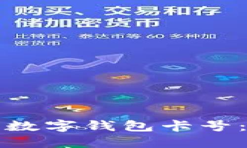 如何查看数字钱包卡号：完整指南