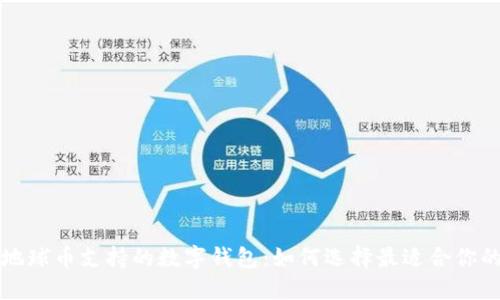 探索地球币支持的数字钱包：如何选择最适合你的平台