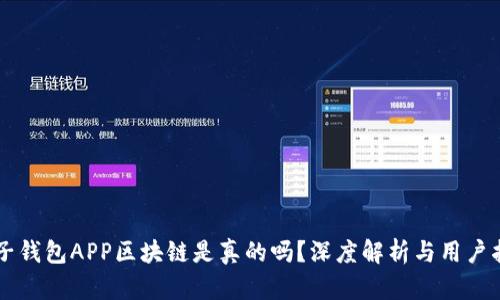 麦子钱包APP区块链是真的吗？深度解析与用户指南