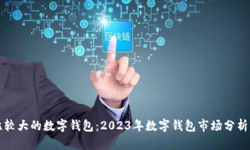 国际比较大的数字钱包：2023年数字钱包市场分析与比较