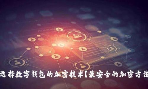 如何选择数字钱包的加密技术？最安全的加密方法介绍