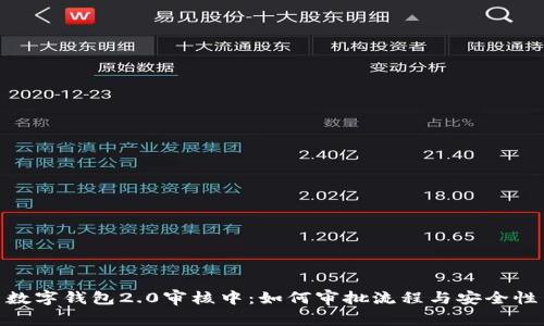 数字钱包2.0审核中：如何审批流程与安全性