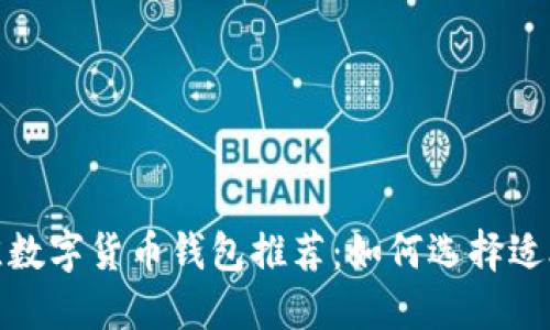 2023年最佳数字货币钱包推荐：如何选择适合你的钱包？