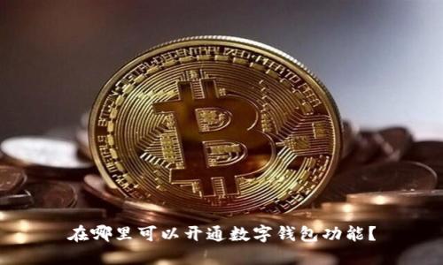 在哪里可以开通数字钱包功能？