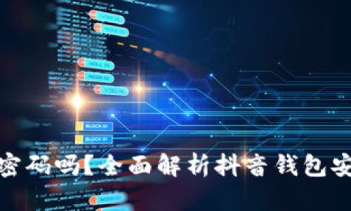 抖音钱包能加密码吗？全面解析抖音钱包安全及使用技巧