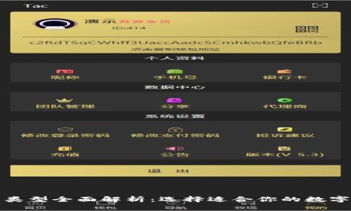 数字钱包类型全面解析：选择适合你的数字支付方式