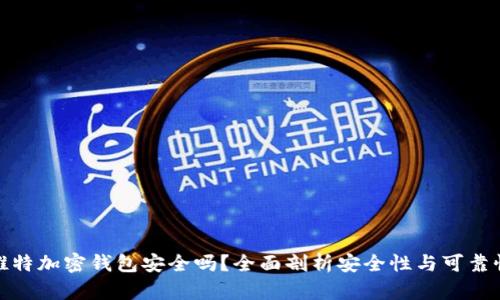 推特加密钱包安全吗？全面剖析安全性与可靠性