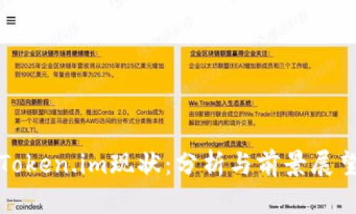 Token.im现状：分析与前景展望