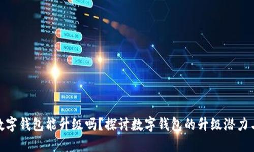 最低线数字钱包能升级吗？探讨数字钱包的升级潜力与安全性