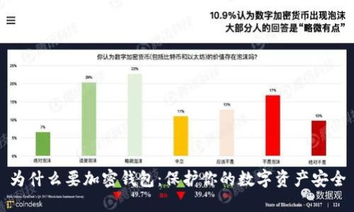 为什么要加密钱包：保护你的数字资产安全