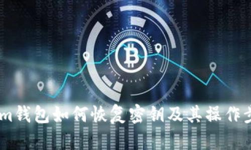 Token.im钱包如何恢复密钥及其操作步骤详解