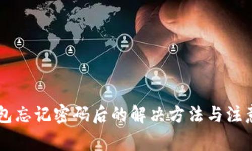 im钱包忘记密码后的解决方法与注意事项