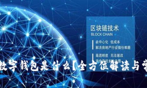 比特币数字钱包是什么？全方位解读与常见问题