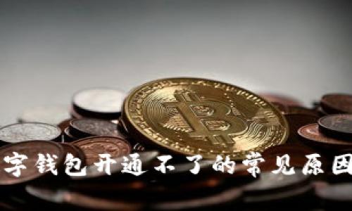 中行企业数字钱包开通不了的常见原因及解决方法