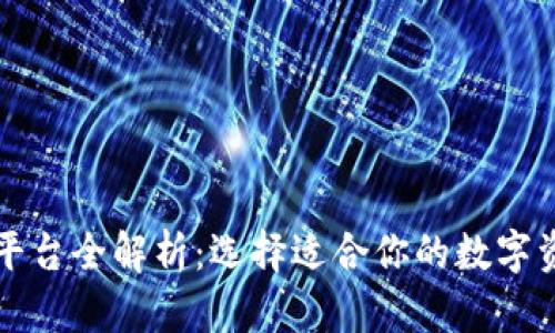 区块链钱包平台全解析：选择适合你的数字资产管理工具
