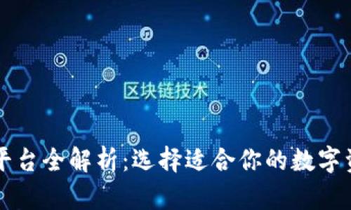 区块链钱包平台全解析：选择适合你的数字资产管理工具