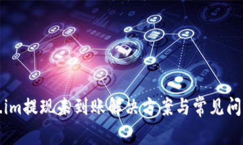 Token.im提现未到账解决方案与常见问题解析