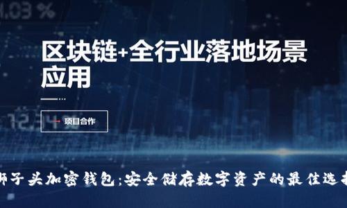 狮子头加密钱包：安全储存数字资产的最佳选择