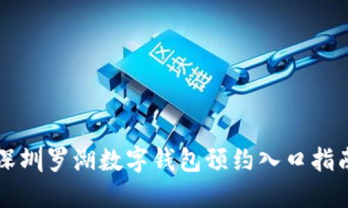 深圳罗湖数字钱包预约入口指南
