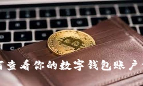 如何查看你的数字钱包账户信息