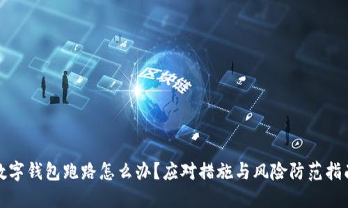 数字钱包跑路怎么办？应对措施与风险防范指南