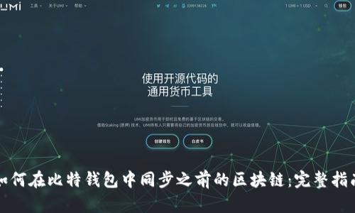 如何在比特钱包中同步之前的区块链：完整指南