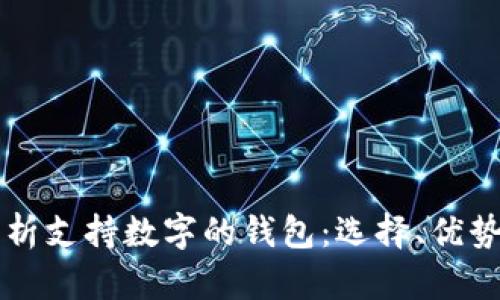 全面解析支持数字的钱包：选择、优势与应用