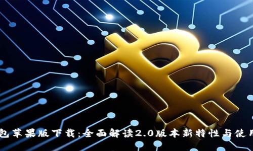 IM钱包苹果版下载：全面解读2.0版本新特性与使用指南