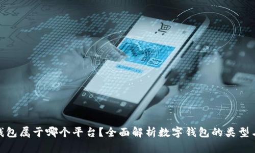 数字钱包属于哪个平台？全面解析数字钱包的类型与选择