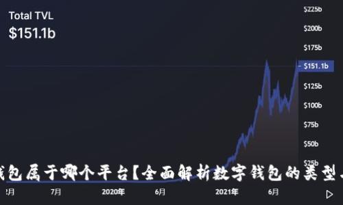 数字钱包属于哪个平台？全面解析数字钱包的类型与选择