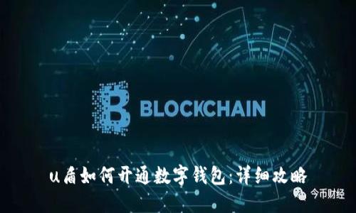 u盾如何开通数字钱包：详细攻略