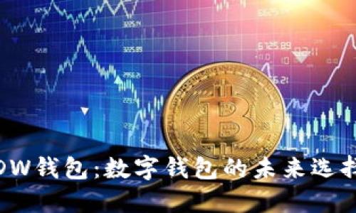 DW钱包：数字钱包的未来选择