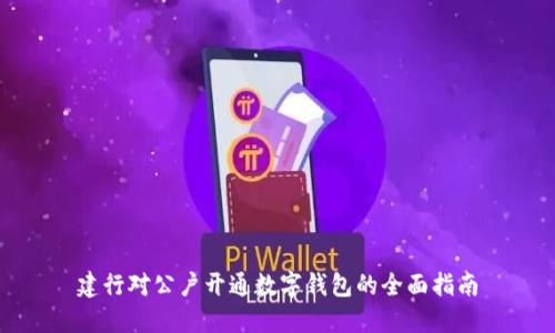 建行对公户开通数字钱包的全面指南