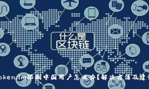 token.im限制中国用户怎么办？解决方法及建议