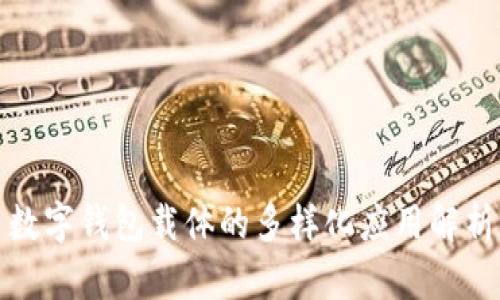 数字钱包载体的多样化应用解析
