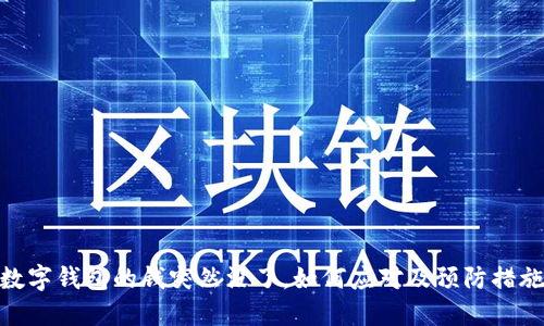 数字钱包的钱突然没了，如何应对及预防措施