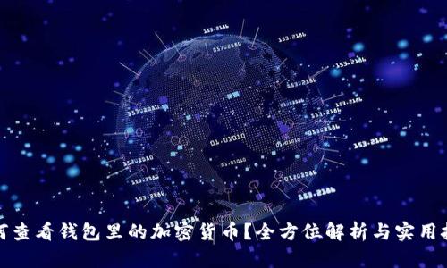 如何查看钱包里的加密货币？全方位解析与实用技巧