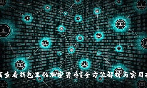 如何查看钱包里的加密货币？全方位解析与实用技巧
