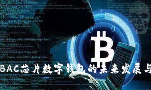 央行BAC芯片数字钱包的未来发展与应用