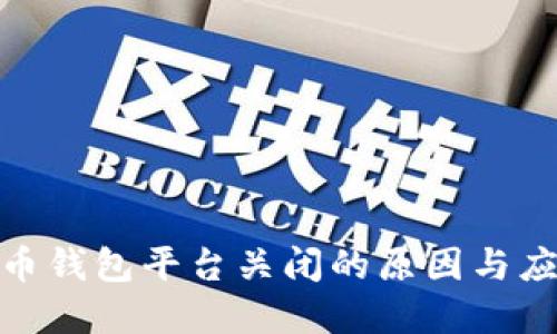 数字货币钱包平台关闭的原因与应对策略