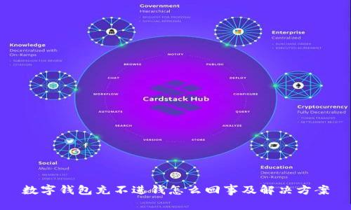 数字钱包充不进钱怎么回事及解决方案