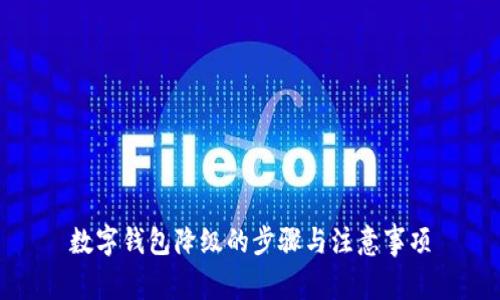 数字钱包降级的步骤与注意事项