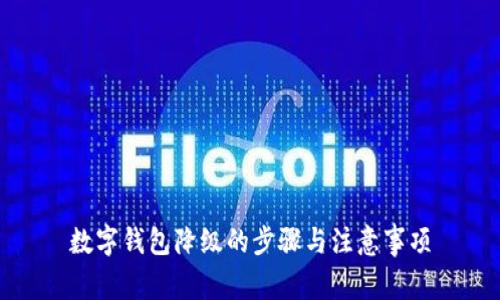 数字钱包降级的步骤与注意事项