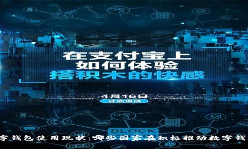 全球数字钱包使用现状：哪些国家在积极推动数字钱包发展？