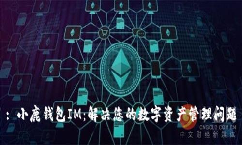 : 小鹿钱包IM：解决您的数字资产管理问题